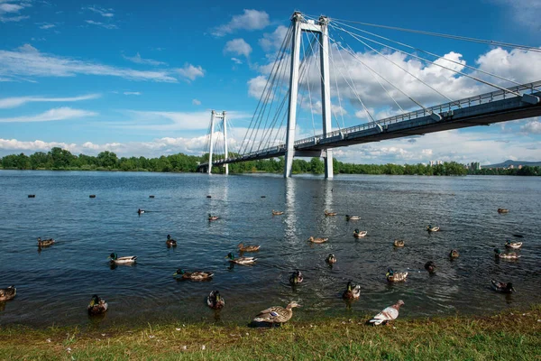Pedestrian bridge in the water of Yenisei river — Stock Photo, Image