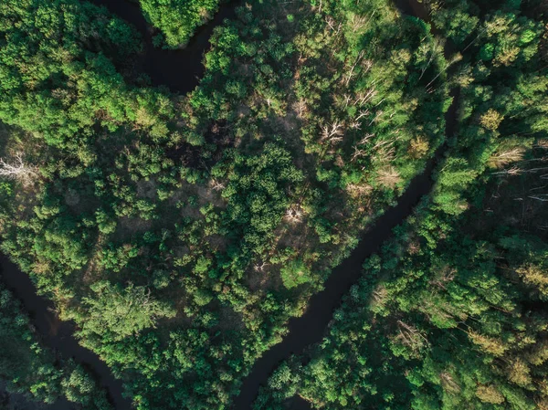 Výstřel ze vzduchového letounu divoké řeky — Stock fotografie