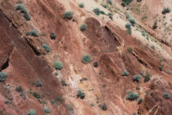 Krajina v údolí Marsu — Stock fotografie