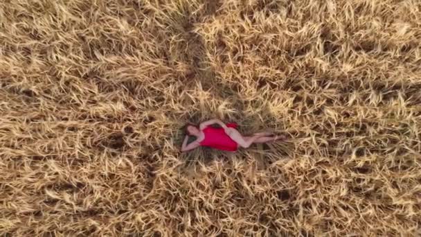 Vue aérienne de la femme couchée dans le champ de blé — Video