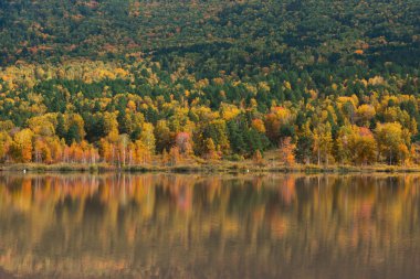 Sonbahar yansımaları göl