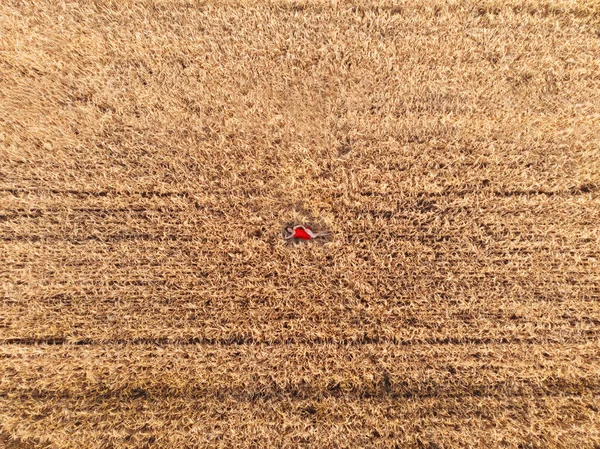 Vue aérienne de la femme en robe rouge couchée dans le champ de blé — Photo