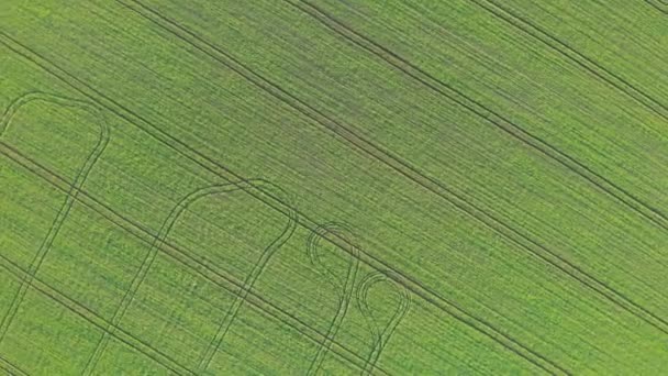 Vista aérea superior do campo verde. — Vídeo de Stock