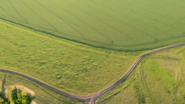 Αεροφωτογραφία του πράσινου πεδίου. — Αρχείο Βίντεο