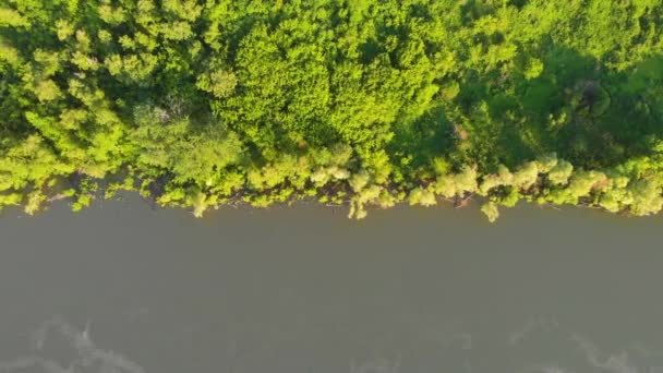 Widok z powietrza na rzekę Ob — Wideo stockowe