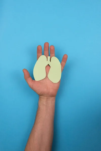 Womens hands hold a paper lungs symbol — Stock Photo, Image