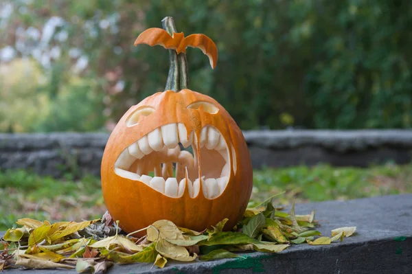 Zucca di Halloween — Foto Stock