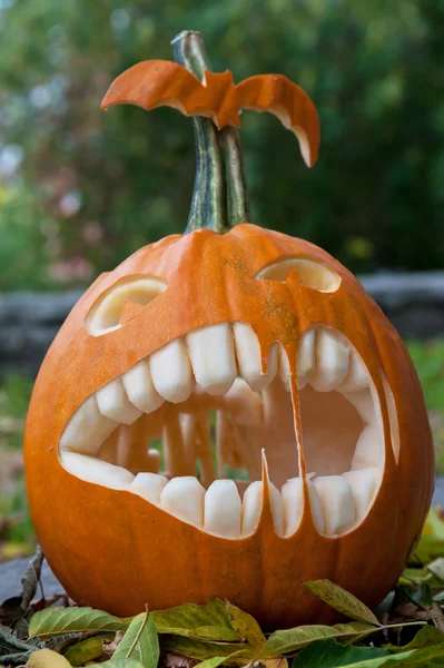 Zucca di Halloween — Foto Stock