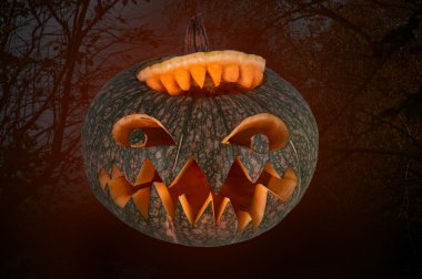 Cadılar Bayramı Balkabağı