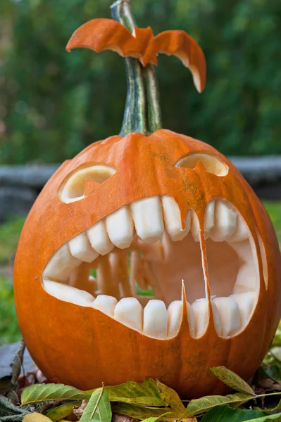 Halloween-Kürbis — Stockfoto