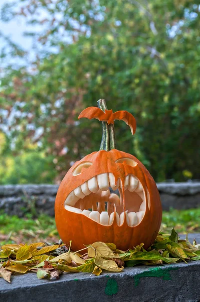 Halloween-Kürbis — Stockfoto