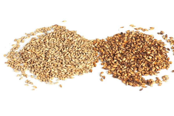 Malt tahıl — Stok fotoğraf