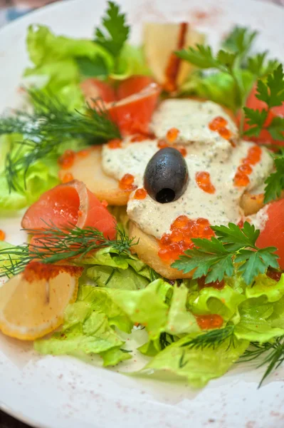 Salmon salad — Stock Photo, Image