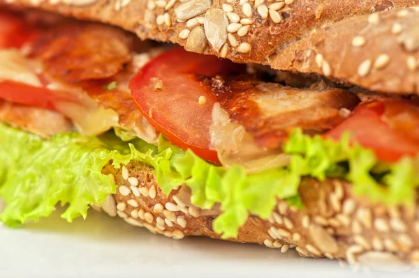 Grote sandwich — Stockfoto