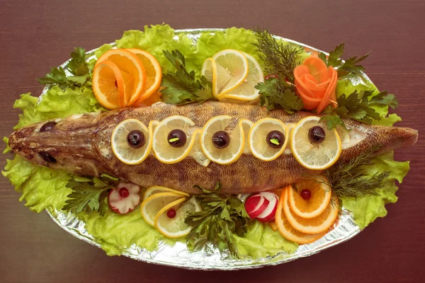 Peixes-zander — Fotografia de Stock