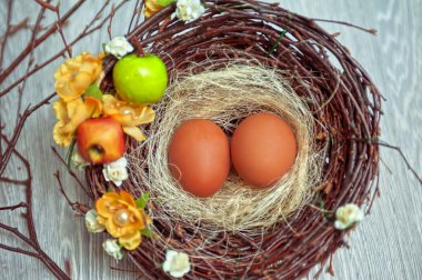 Yuvadaki yumurtalar