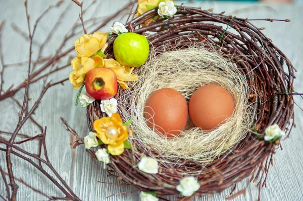 Яйця в гніздо — стокове фото