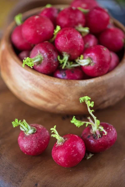 Harvest of ripe radish. — Stock Photo, Image