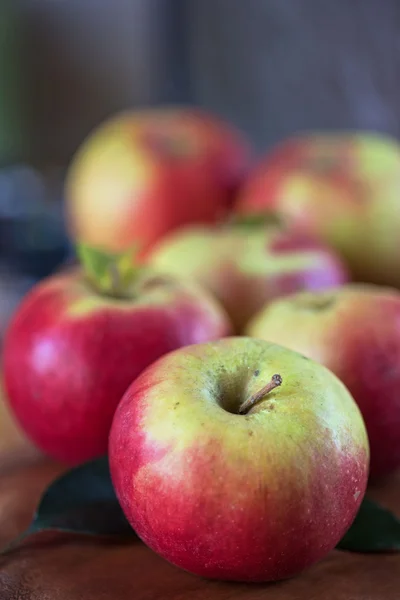 Harvest of apples Royalty Free Stock Photos