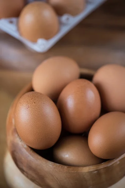 Frische Eier — Stockfoto