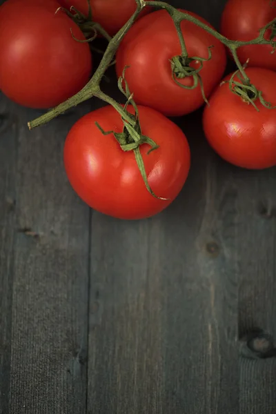 Frische Tomaten — Stockfoto