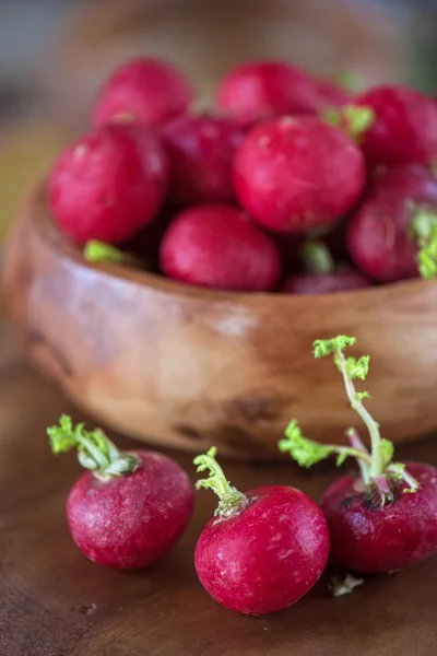 Harvest of ripe radish. — Stock Photo, Image