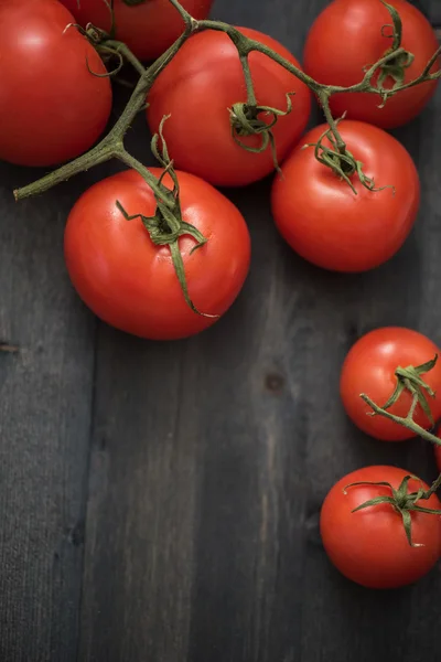 Frische Tomaten — Stockfoto