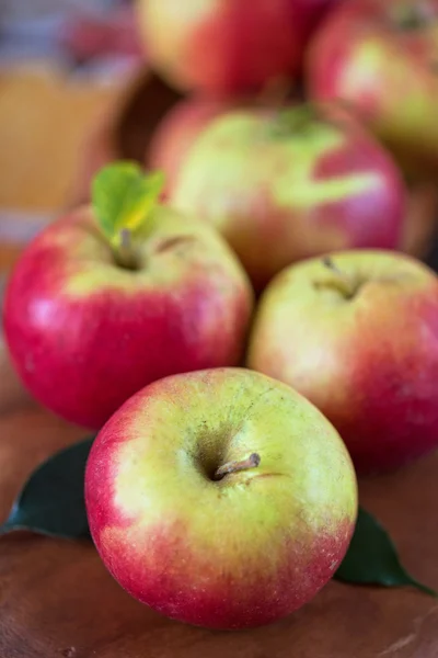 Harvest of apples Royalty Free Stock Images