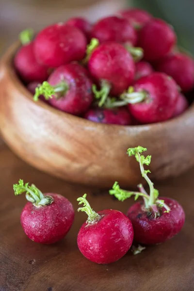 Harvest of ripe radish. — Stock Photo, Image