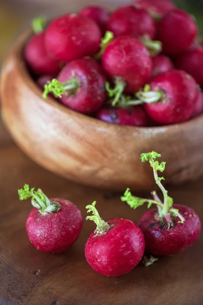 Harvest of ripe radish. — Stock Photo, Image