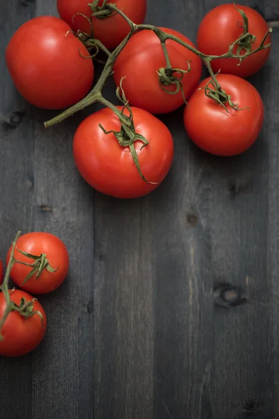 Frische Tomaten — Stockfoto