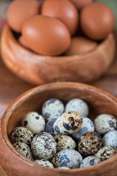 Φρέσκα αυγά — Φωτογραφία Αρχείου