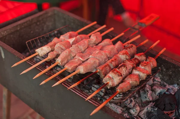 Shashlik. — Fotografia de Stock