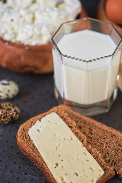 Mjölkprodukter — Stockfoto