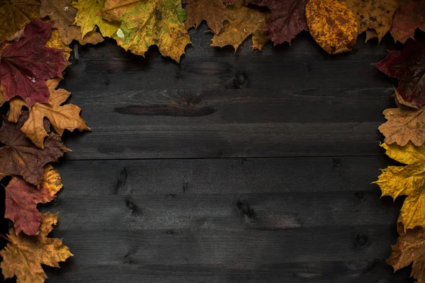 Wood hösten bakgrund — Stockfoto