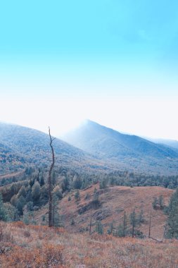 sonbahar günü dağda