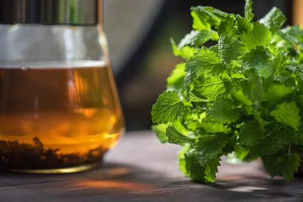 Tee mit grüner frischer Melisse — Stockfoto