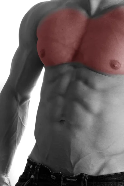 Bodybuilder kroppen närbild — Stockfoto