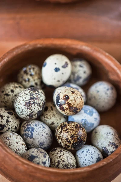 Fresh quail eggs — Stock Photo, Image