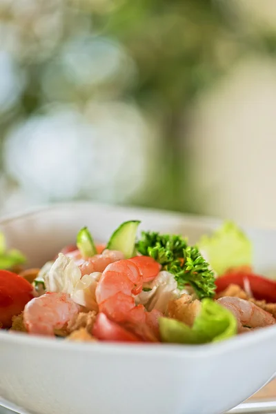 Räkor grönsakssallad — Stockfoto