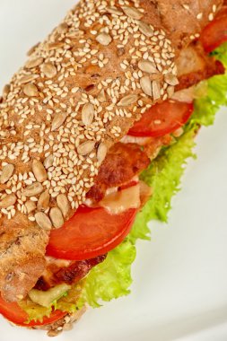 Büyük sandviç portre