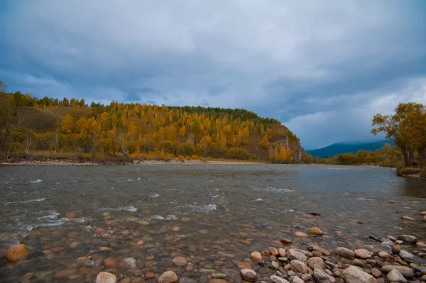 Sonbahar Nehri fotoğraf — Stok fotoğraf