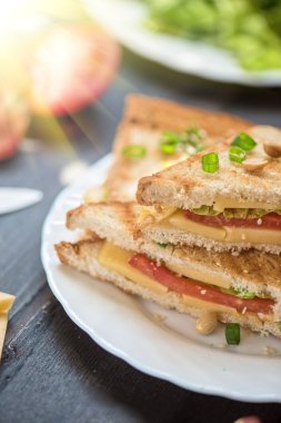 Peynirli sandviç fotoğraf