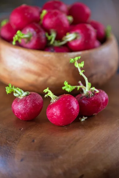 Harvest of ripe radish. — Stock Photo, Image