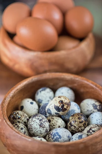 Foto de ovos frescos — Fotografia de Stock