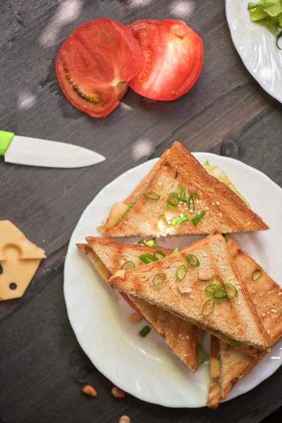 Cheese sandwich photo — Stock Photo, Image