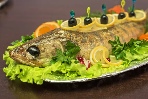 Zander fish baked — Stock Photo, Image