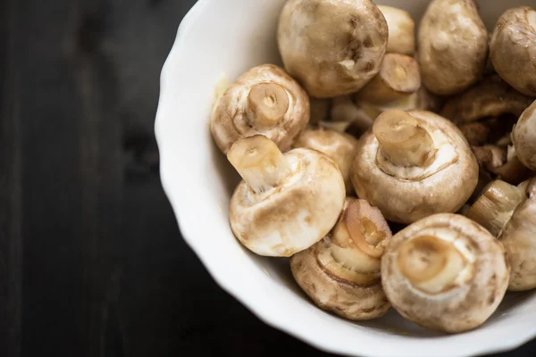 Fresh mushrooms champignons — Stock Photo, Image