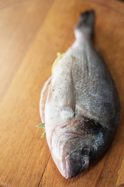 Fresh uncooked dorado — Stock Photo, Image