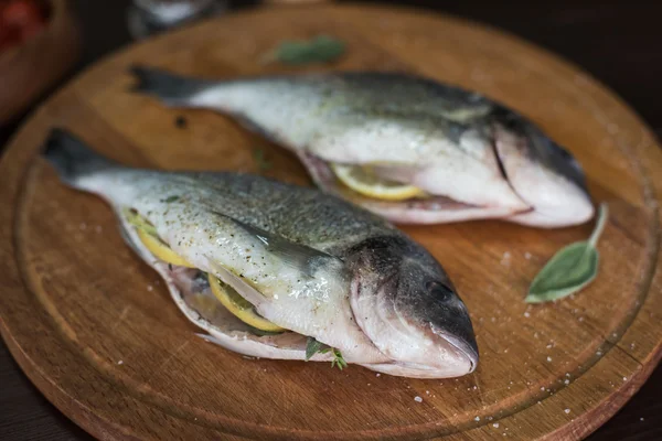 Taze çiğ dorado — Stok fotoğraf